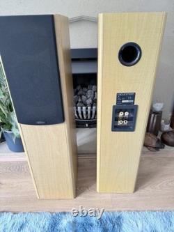 Celestron 100w Floor Standing Speakers