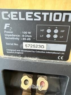 Celestron 100w Floor Standing Speakers