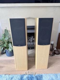 Celestron 100w Floor Standing Speakers