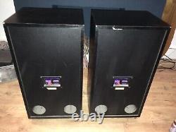 Cerwin Vega VS-12 Floor Standing Vintage Speakers