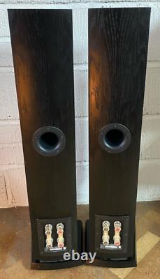 DALI Mentor 5 Floorstanding Speakers Preowned