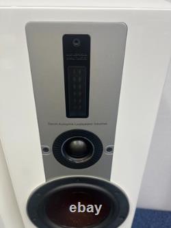 Dali Epicon 6 Stereo Speakers with stands and accessories excellent condition