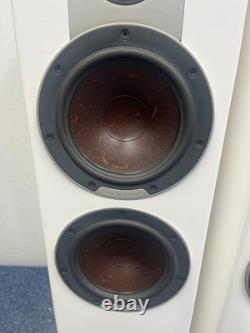 Dali Epicon 6 Stereo Speakers with stands and accessories excellent condition