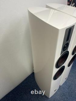 Dali Epicon 6 Stereo Speakers with stands and accessories excellent condition