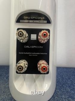 Dali Epicon 6 Stereo Speakers with stands and accessories excellent condition
