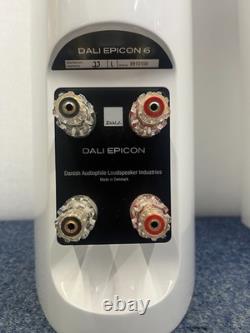 Dali Epicon 6 Stereo Speakers with stands and accessories excellent condition