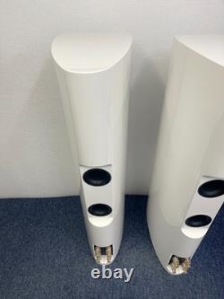 Dali Epicon 6 Stereo Speakers with stands and accessories excellent condition
