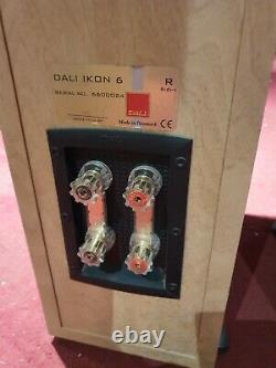 Dali Ikon 6 Floorstanding Speakers Light Walnut CTI NIN-0730
