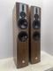 Dali Rubicon 6 Floor-Standing Speakers (Natural Walnut) N60303B