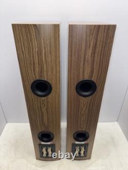 Dali Rubicon 6 Floor-Standing Speakers (Natural Walnut) N60303B