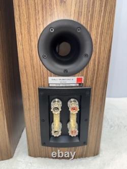 Dali Rubicon 6 Floor-Standing Speakers (Natural Walnut) N60303B