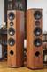 Dali Suite 3.5 Floorstanding Speakers SPARE OR REPAIR