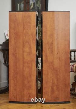 Dali Suite 3.5 Floorstanding Speakers SPARE OR REPAIR