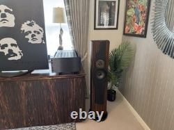 Divine Acoustics Proxima Version 3 Floor standing Speakers