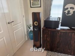 Divine Acoustics Proxima Version 3 Floor standing Speakers