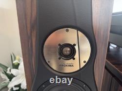Divine Acoustics Proxima Version 3 Floor standing Speakers
