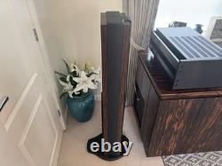 Divine Acoustics Proxima Version 3 Floor standing Speakers