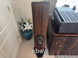 Divine Acoustics Proxima Version 3 Floor standing Speakers