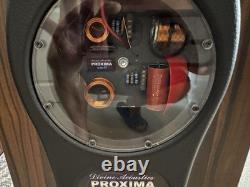 Divine Acoustics Proxima Version 3 Floor standing Speakers