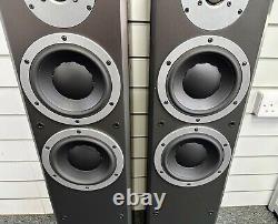 Dynaudio DM 3/7 HiFi Home Audio Floor Standing Speakers Black Ash