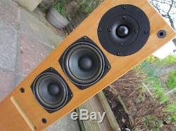 EDWARDS AUDIO APPRENTICE SP Floorstanding Speakers stunning sound ex-demo