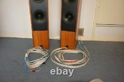 Epos ES22 Flagship audiophile Floor Standing Speakers