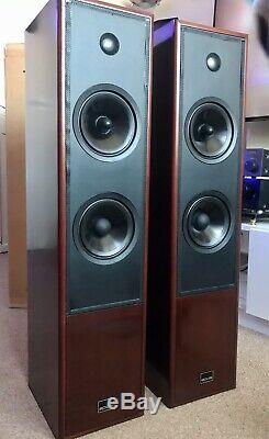 Epos ES22 Flagship audiophile Floorstanding Speakers. What HI-FI 5ultra Rare