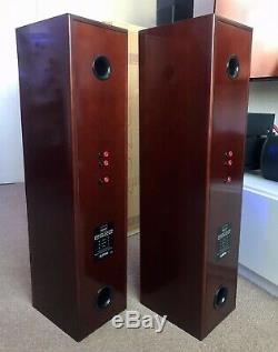 Epos ES22 Flagship audiophile Floorstanding Speakers. What HI-FI 5ultra Rare