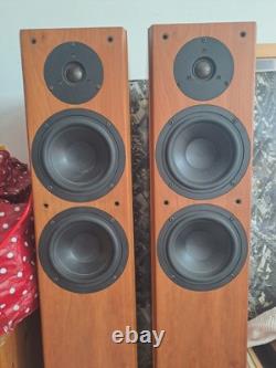 Floor Standing Speakers Tannoy Revolution R2