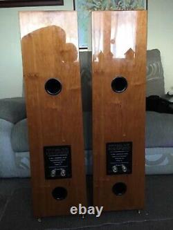 Floor standing speakers Hifi Speakers