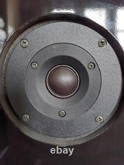 Floorstanding Di-Pole Speakers