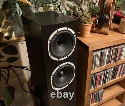 Fyne Audio F501 Floor Standing Speakers Black Oak