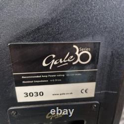 Gale 30 series 3030 black Floorstanding Speakers