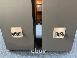 German Physiks Unlimited 2 Floorstanding Speakers USED