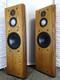 INFINITY Kappa 7.2i Floor-Standing Tallboy Speakers Pair Tested Japan FedEx GS03