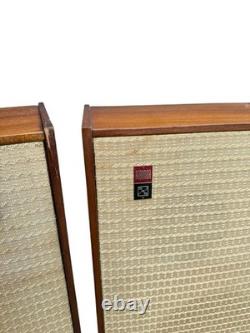 Large Pair of floor standing Rigonda Speakers