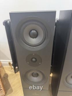 Linn Keilidh Floor Standing Speakers Black Ash Immaculate Condition -Hifi YORK