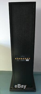 Linn Keltik Floorstanding Speakers with Active Cards