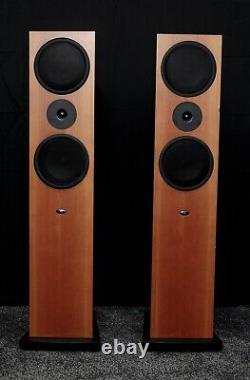 Linn Ninka Floor standing speakers. Upgraded tweeters HIQUPHON OW2-92