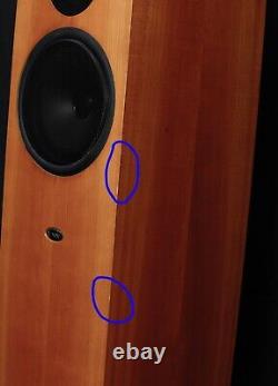 Linn Ninka Floor standing speakers. Upgraded tweeters HIQUPHON OW2-92