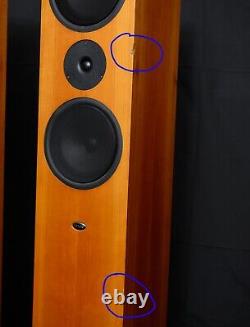 Linn Ninka Floor standing speakers. Upgraded tweeters HIQUPHON OW2-92