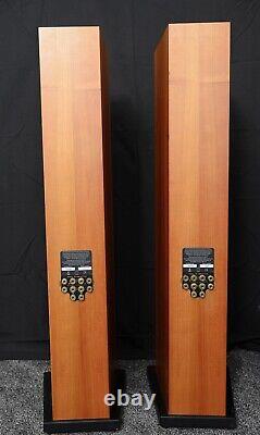 Linn Ninka Floor standing speakers. Upgraded tweeters HIQUPHON OW2-92