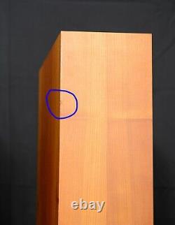 Linn Ninka Floor standing speakers. Upgraded tweeters HIQUPHON OW2-92