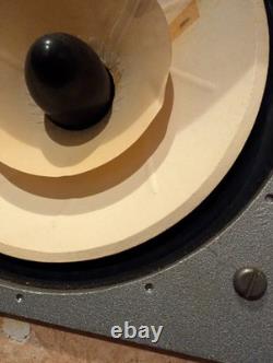 Lowther Acousta Full Range Floor Standing Speakers