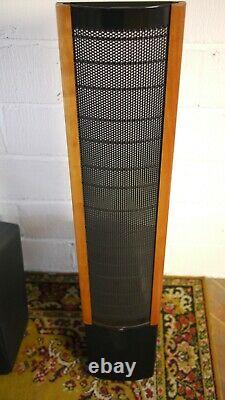 Martin Logan Aeon Electrostatic Floorstanding Speakers Preowned