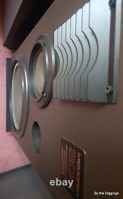 Memorex 304 100W floor standing speakers