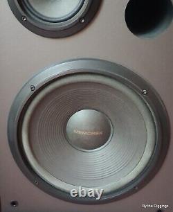 Memorex 304 100W floor standing speakers