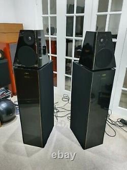 Meridian D6000 Boothroyd Stuart Digital Floor standing stereo speakers