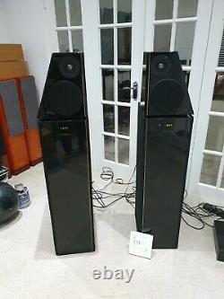 Meridian D6000 Boothroyd Stuart Digital Floor standing stereo speakers