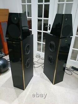 Meridian D6000 Boothroyd Stuart Digital Floor standing stereo speakers